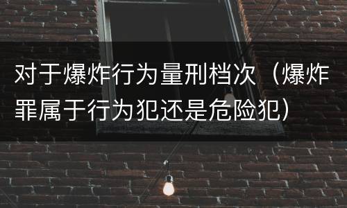 对于爆炸行为量刑档次（爆炸罪属于行为犯还是危险犯）