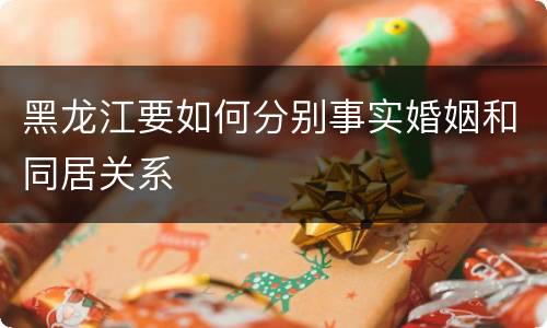 黑龙江要如何分别事实婚姻和同居关系