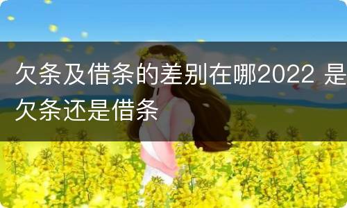 欠条及借条的差别在哪2022 是欠条还是借条