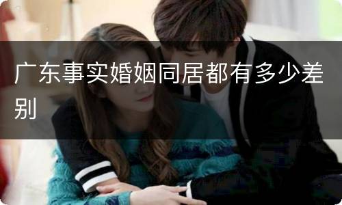 广东事实婚姻同居都有多少差别