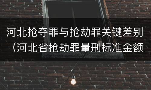 河北抢夺罪与抢劫罪关键差别（河北省抢劫罪量刑标准金额）