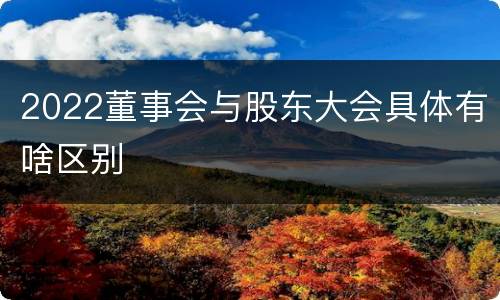 2022董事会与股东大会具体有啥区别