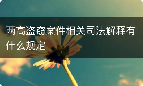 两高盗窃案件相关司法解释有什么规定