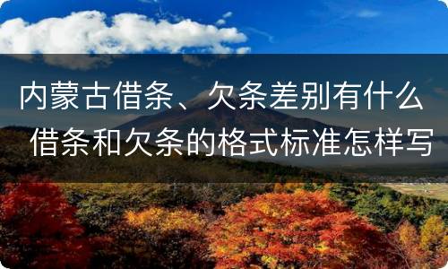 内蒙古借条、欠条差别有什么 借条和欠条的格式标准怎样写