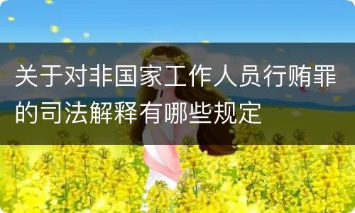 关于对非国家工作人员行贿罪的司法解释有哪些规定