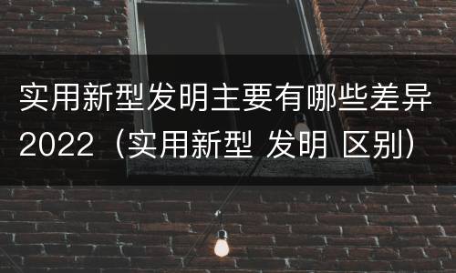 实用新型发明主要有哪些差异2022（实用新型 发明 区别）