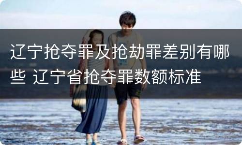 辽宁抢夺罪及抢劫罪差别有哪些 辽宁省抢夺罪数额标准