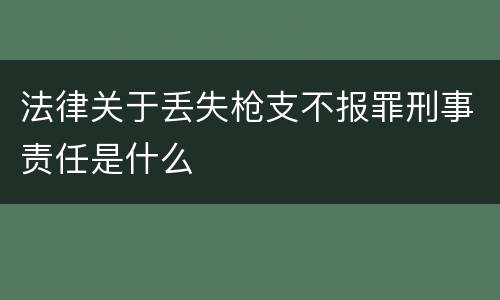 法律关于丢失枪支不报罪刑事责任是什么