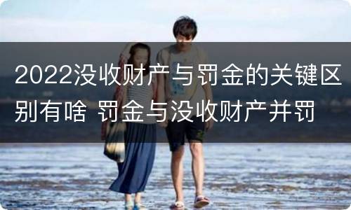 2022没收财产与罚金的关键区别有啥 罚金与没收财产并罚