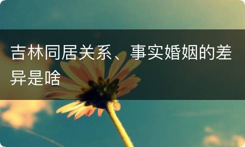 吉林同居关系、事实婚姻的差异是啥