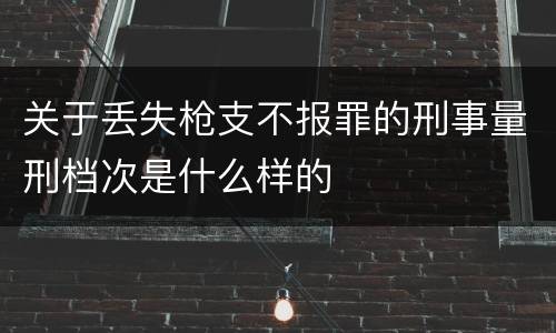 关于丢失枪支不报罪的刑事量刑档次是什么样的