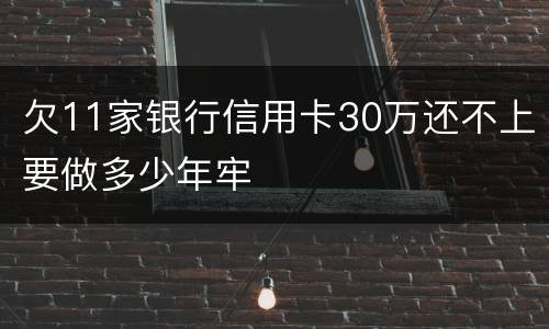 欠11家银行信用卡30万还不上要做多少年牢