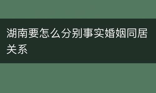 湖南要怎么分别事实婚姻同居关系