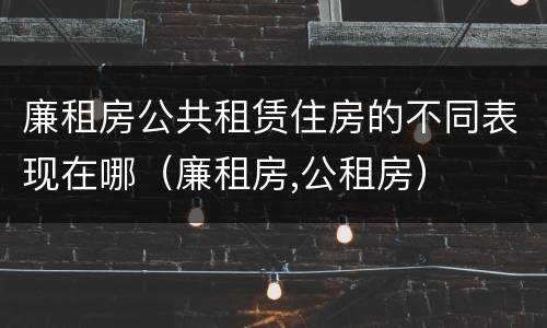廉租房公共租赁住房的不同表现在哪（廉租房,公租房）