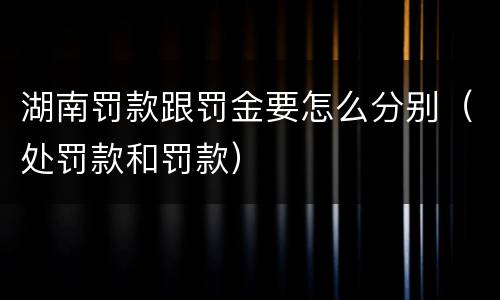 湖南罚款跟罚金要怎么分别(处罚款和罚款)