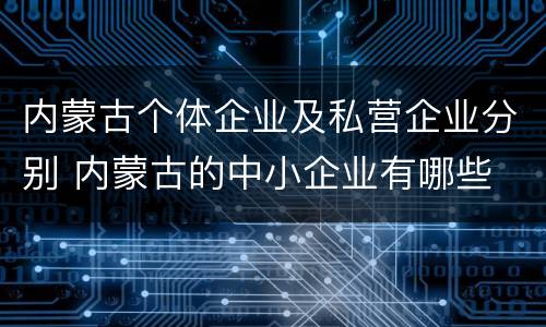 内蒙古个体企业及私营企业分别 内蒙古的中小企业有哪些