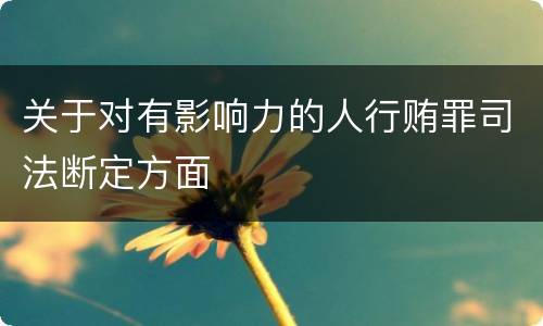 关于对有影响力的人行贿罪司法断定方面