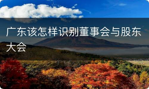 广东该怎样识别董事会与股东大会