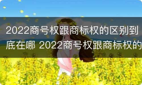 2022商号权跟商标权的区别到底在哪 2022商号权跟商标权的区别到底在哪儿
