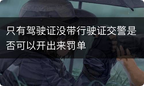 只有驾驶证没带行驶证交警是否可以开出来罚单