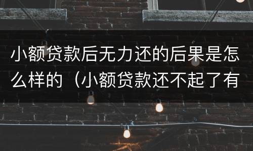 小额贷款后无力还的后果是怎么样的（小额贷款还不起了有什么后果）
