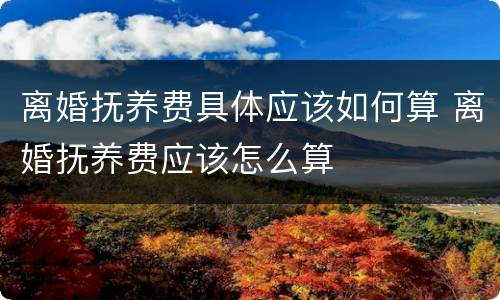 离婚抚养费具体应该如何算 离婚抚养费应该怎么算