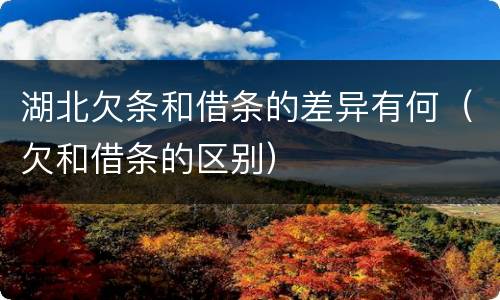 湖北欠条和借条的差异有何（欠和借条的区别）