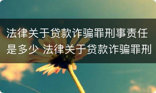 法律关于贷款诈骗罪刑事责任是多少 法律关于贷款诈骗罪刑事责任是多少