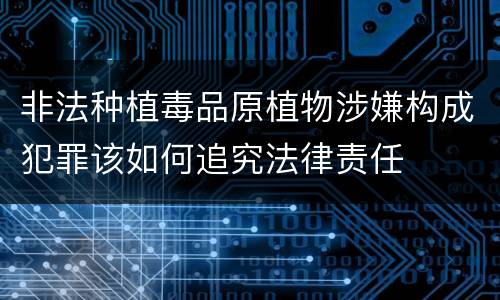 非法种植毒品原植物涉嫌构成犯罪该如何追究法律责任
