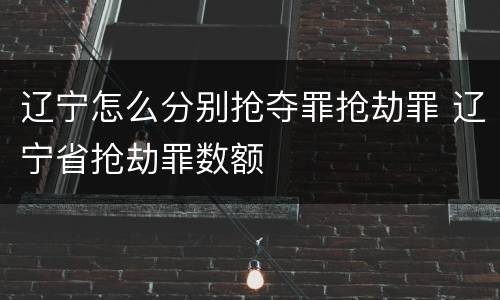 辽宁怎么分别抢夺罪抢劫罪 辽宁省抢劫罪数额