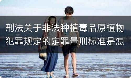 刑法关于非法种植毒品原植物犯罪规定的定罪量刑标准是怎样的