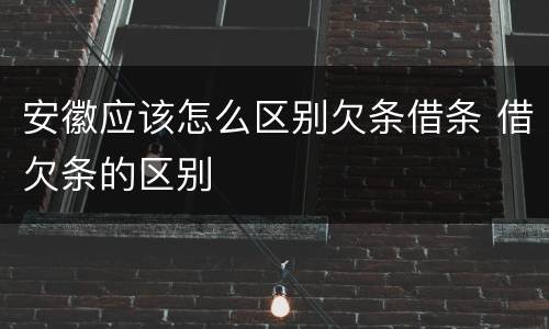 安徽应该怎么区别欠条借条 借欠条的区别