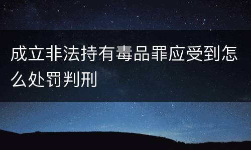 成立非法持有毒品罪应受到怎么处罚判刑