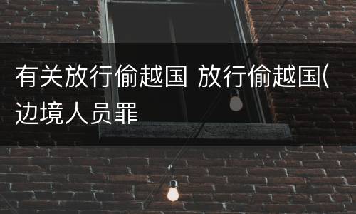 有关放行偷越国 放行偷越国(边境人员罪