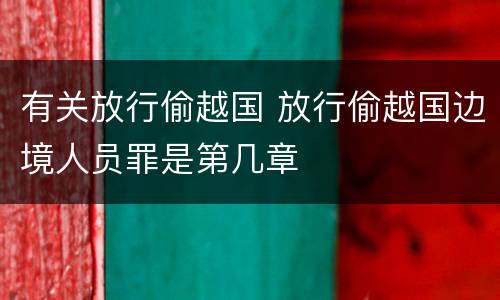 有关放行偷越国 放行偷越国边境人员罪是第几章