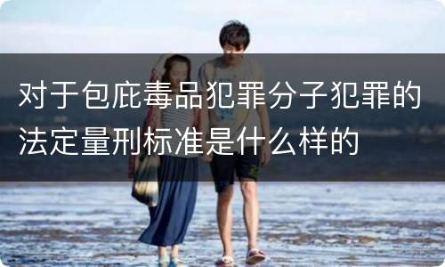 对于包庇毒品犯罪分子犯罪的法定量刑标准是什么样的