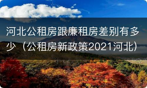 河北公租房跟廉租房差别有多少（公租房新政策2021河北）