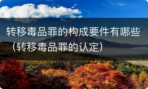 转移毒品罪的构成要件有哪些（转移毒品罪的认定）
