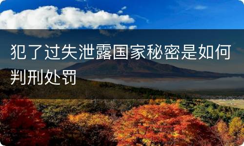 犯了过失泄露国家秘密是如何判刑处罚