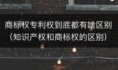商标权专利权到底都有啥区别（知识产权和商标权的区别）