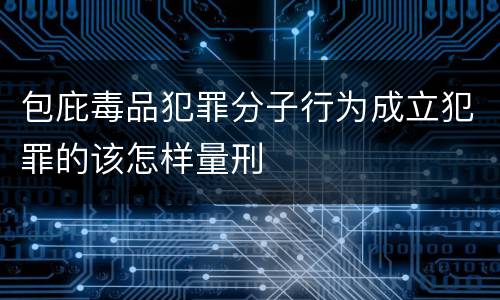 包庇毒品犯罪分子行为成立犯罪的该怎样量刑