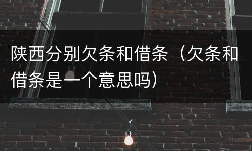 陕西分别欠条和借条（欠条和借条是一个意思吗）