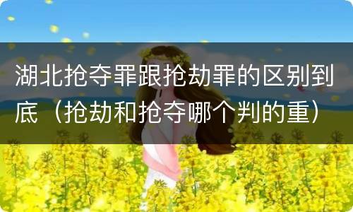 湖北抢夺罪跟抢劫罪的区别到底（抢劫和抢夺哪个判的重）
