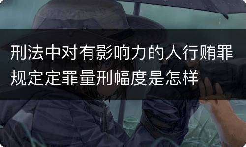 刑法中对有影响力的人行贿罪规定定罪量刑幅度是怎样