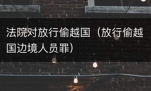 法院对放行偷越国（放行偷越国边境人员罪）