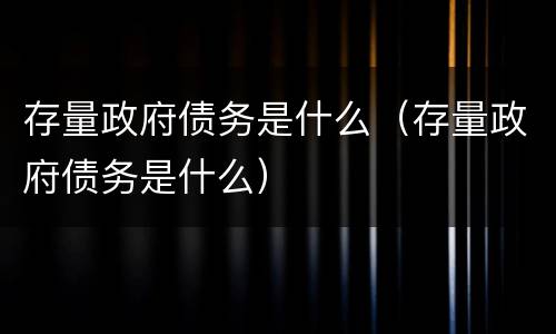 存量政府债务是什么（存量政府债务是什么）