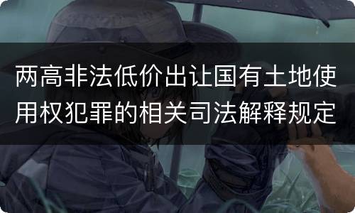 两高非法低价出让国有土地使用权犯罪的相关司法解释规定是什么