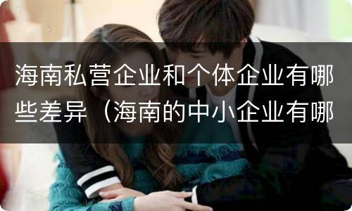 海南私营企业和个体企业有哪些差异（海南的中小企业有哪些）