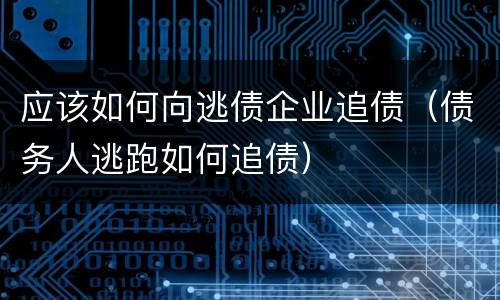 应该如何向逃债企业追债（债务人逃跑如何追债）