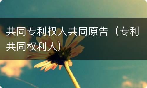 共同专利权人共同原告（专利共同权利人）